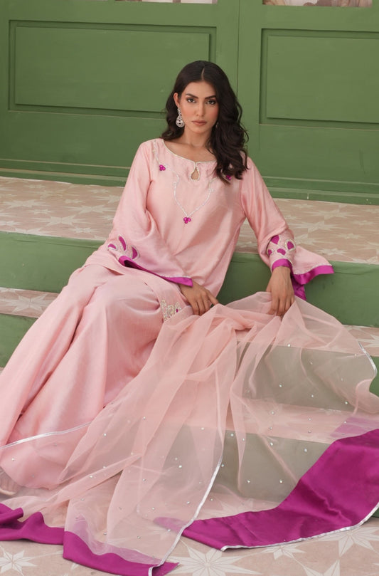 Beautiful Peach Outfit Embellished With Stone Work On The Neckline, Sleeves And Daaman Paired With A Pleated Farshi Shalwar Is Made Of Raw Silk. Comes With A Trendy Organza Dupatta In 2 Shades.